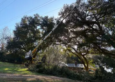 Screenshot 2025 01 22 at 7.28.15 AM